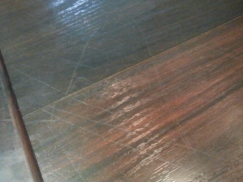 One example of the countless scratches all over our house 