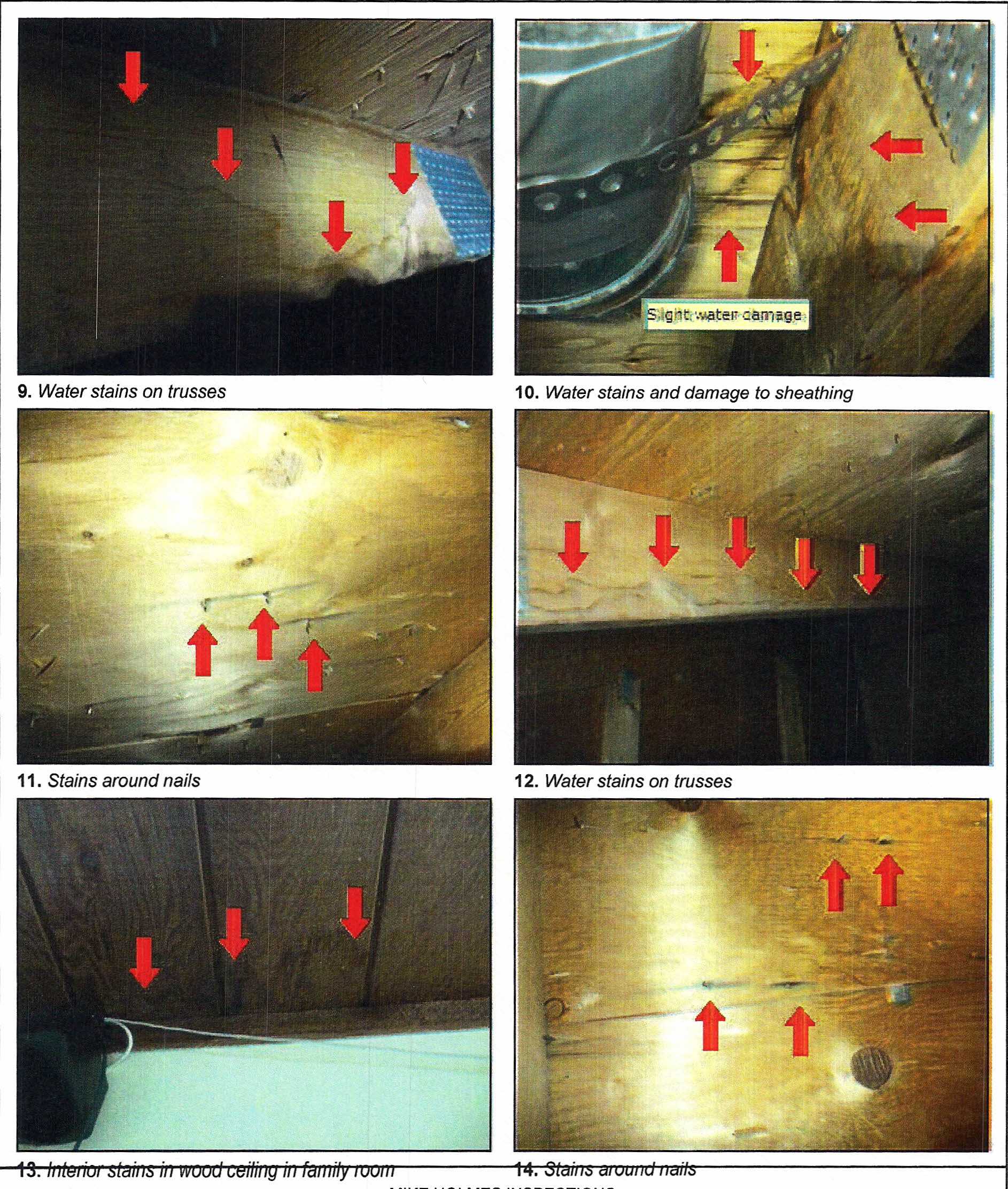 Attic Inspection 3