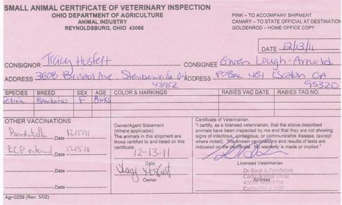 Health certificate confirming the kitten was 8 weeks when put through a cross country trip while sick