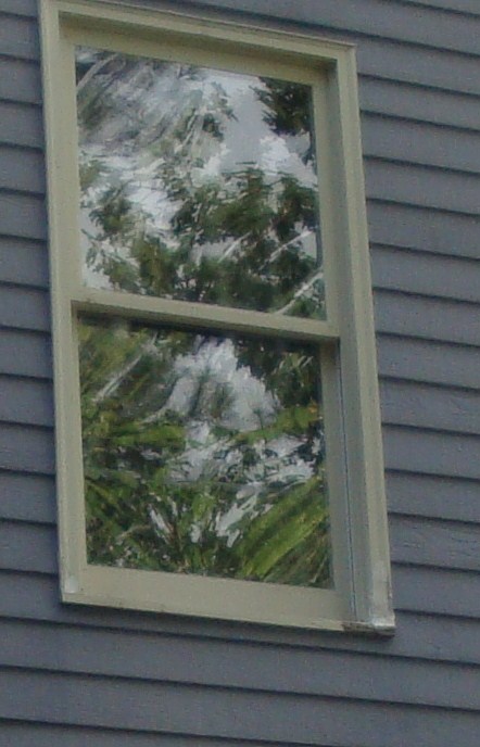 picture of rotten window and putty paint job that they were passing off as their warranty work