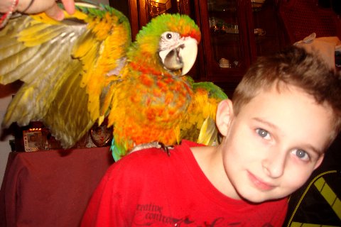 MY BEAUTIFUL SON WITH MY BIRD THAT MARIA SAID WAS HERS ON HER FB PAGE