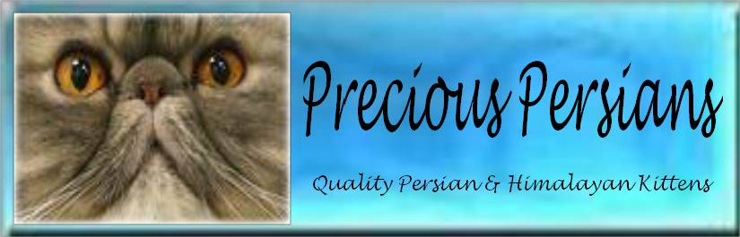 Precious Persians Cattery