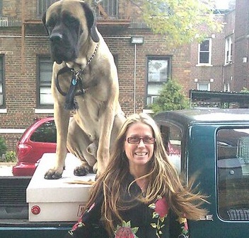 WHICH DOG IS MORE ATTRACTIVE THE ONE ON THE TRUCK OF COURSE