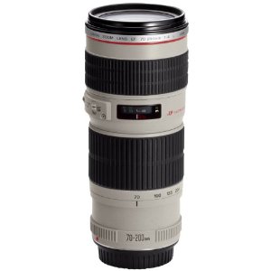 The lens I ordered