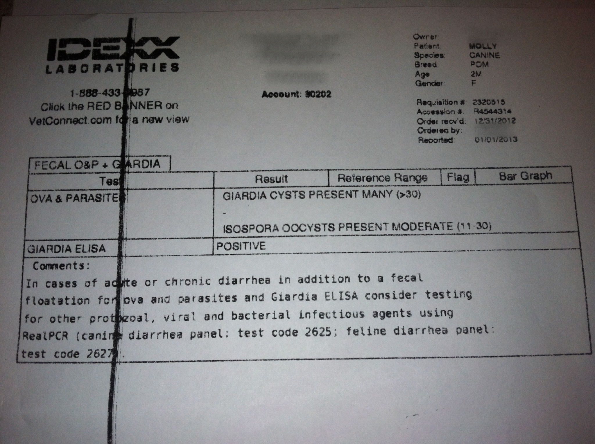 Parasites in Fecal Test 