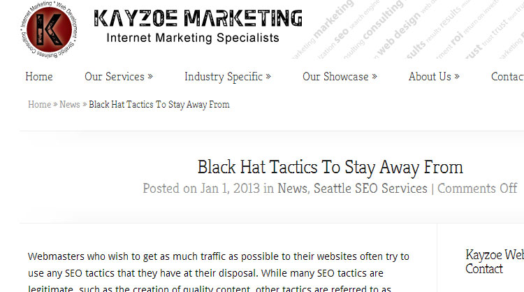 But all Kayzoe does for SEO is black hat marketing