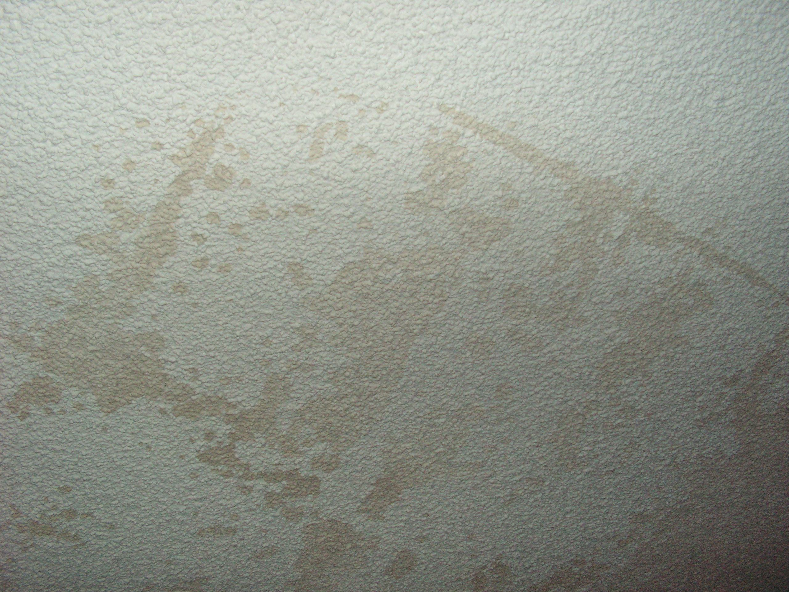 Water seeping through the ceiling