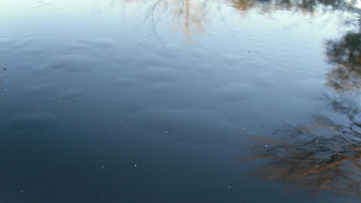 bubbles on the roof