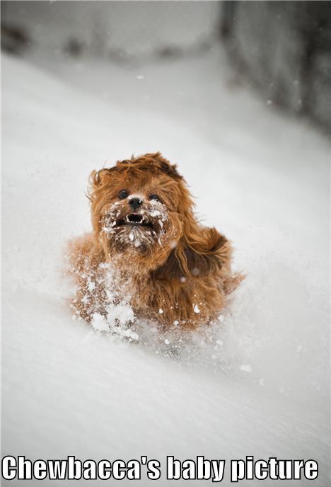 Think of happy things like Baby Chewbacca