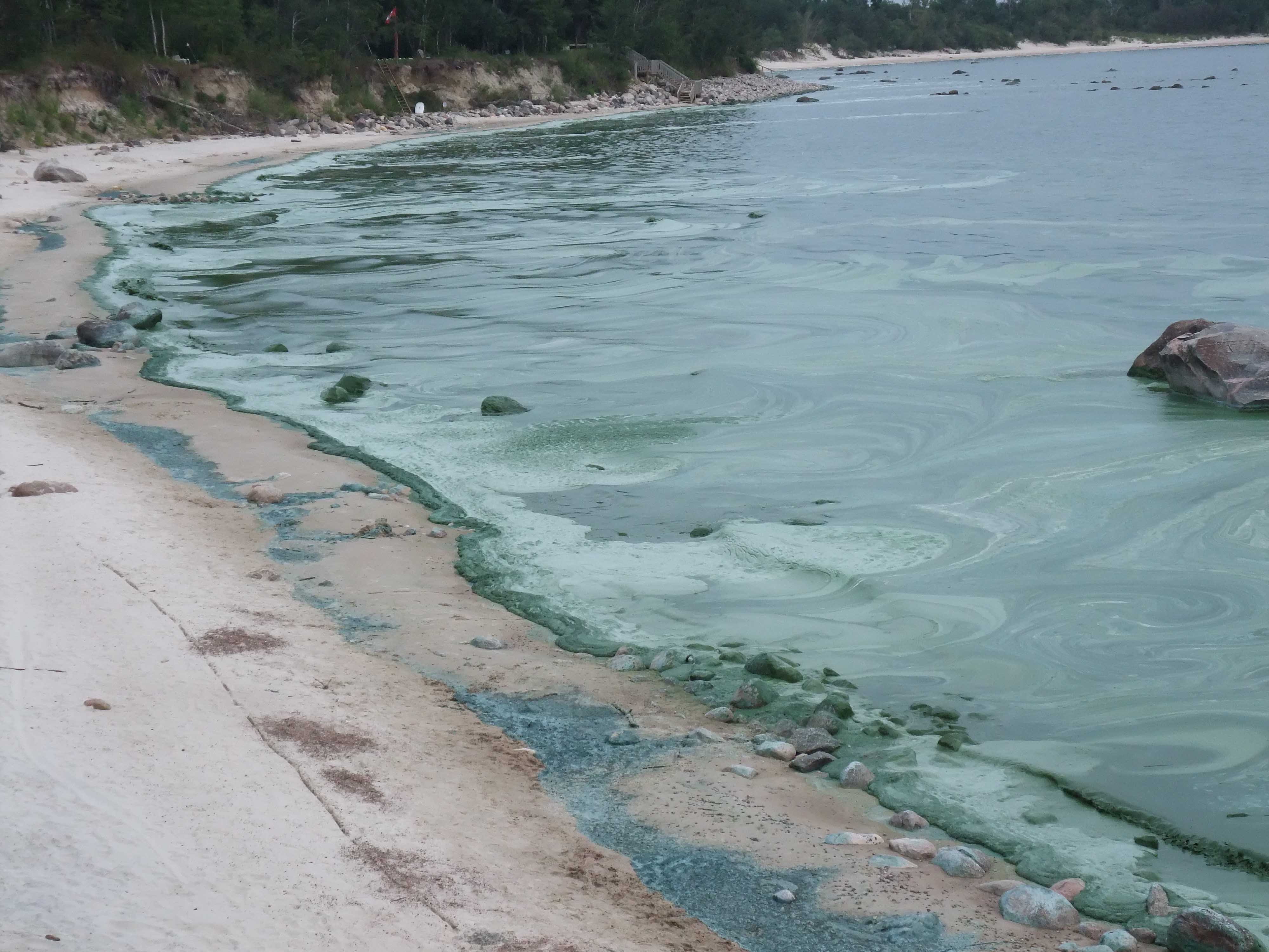 Toxic algae Victoria Beach Manitoba
