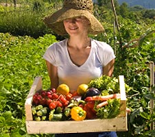 Garden Bounty  