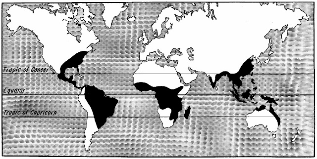 Geographical Distribution of a HOOKWORM Necator americanus: AZ: NOT, 
Europe: NOT, Ohio: YES!