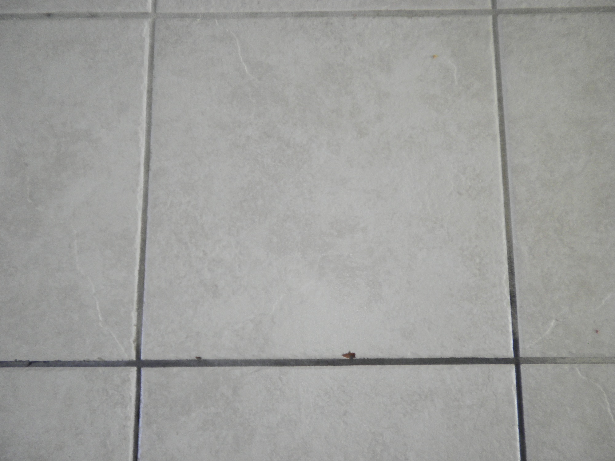 Tiles also chipped by JBV 