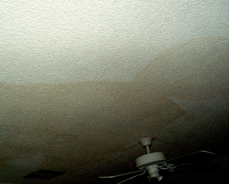 Deena Brand Ceiling Leak Bedroom