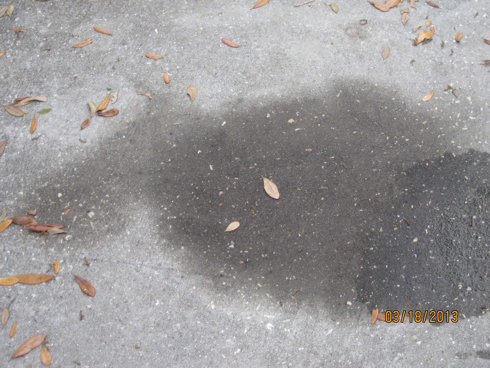 This is the oil leak from the damage Tire Choice caused to my engine.  The overflow of oil leaked onto my driveway.