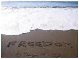 Financial freedom comes from knowledge not jumping into the lake of scams!