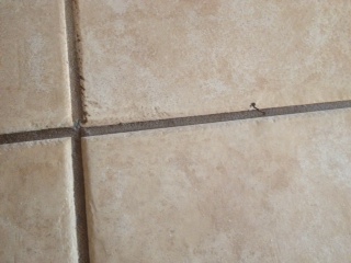 Filthy grout