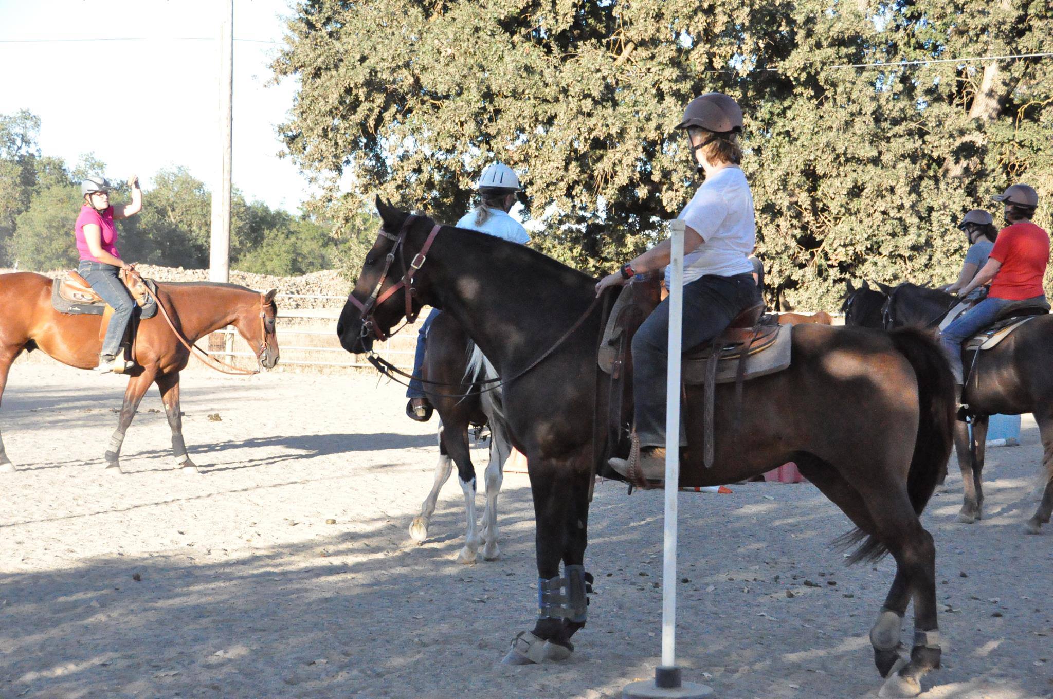 I am on the bay horse on the left. One of my group lessons I taught at the time. 