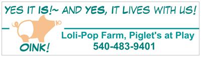 Fun Gifts, included in your take Home Care package . Food, Blankets, and gifts for You and Your pig. One year Genetic health, replacement Guarantee. We May be Small, but we are NOT to be Beat in Care,