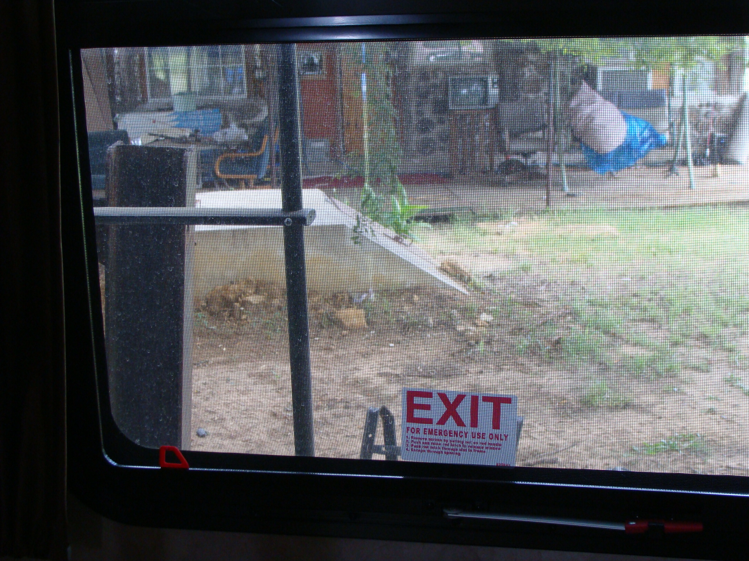 Emergency Window blocked by roof ladder