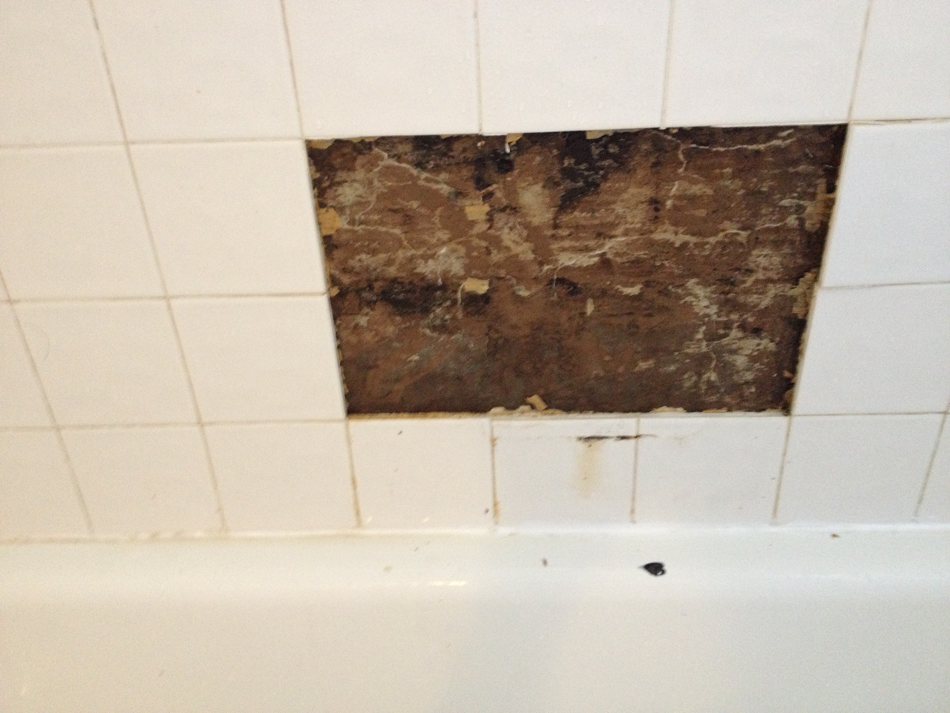 black mold behind tiles bathroom 2