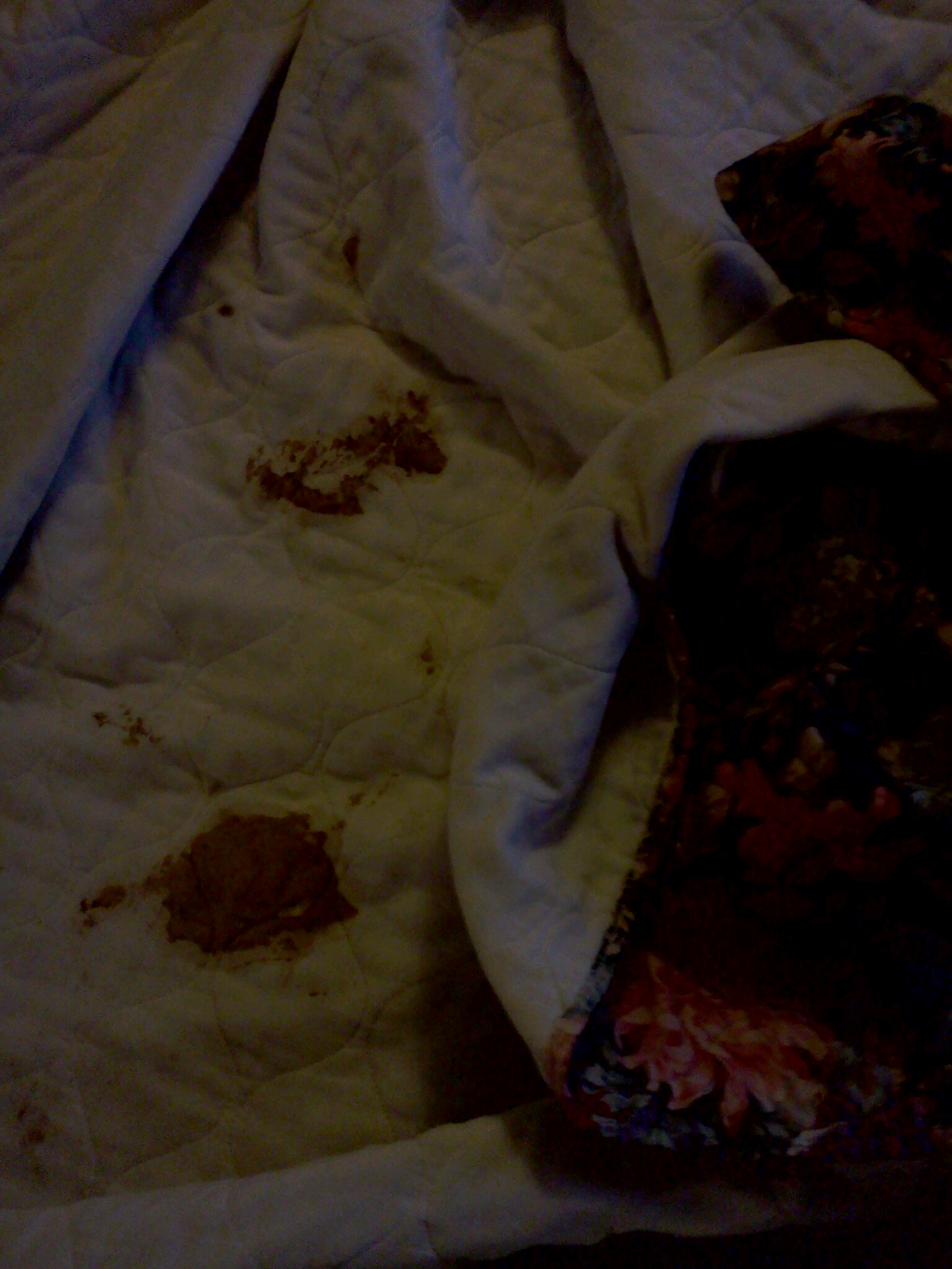 Vomit on blanket