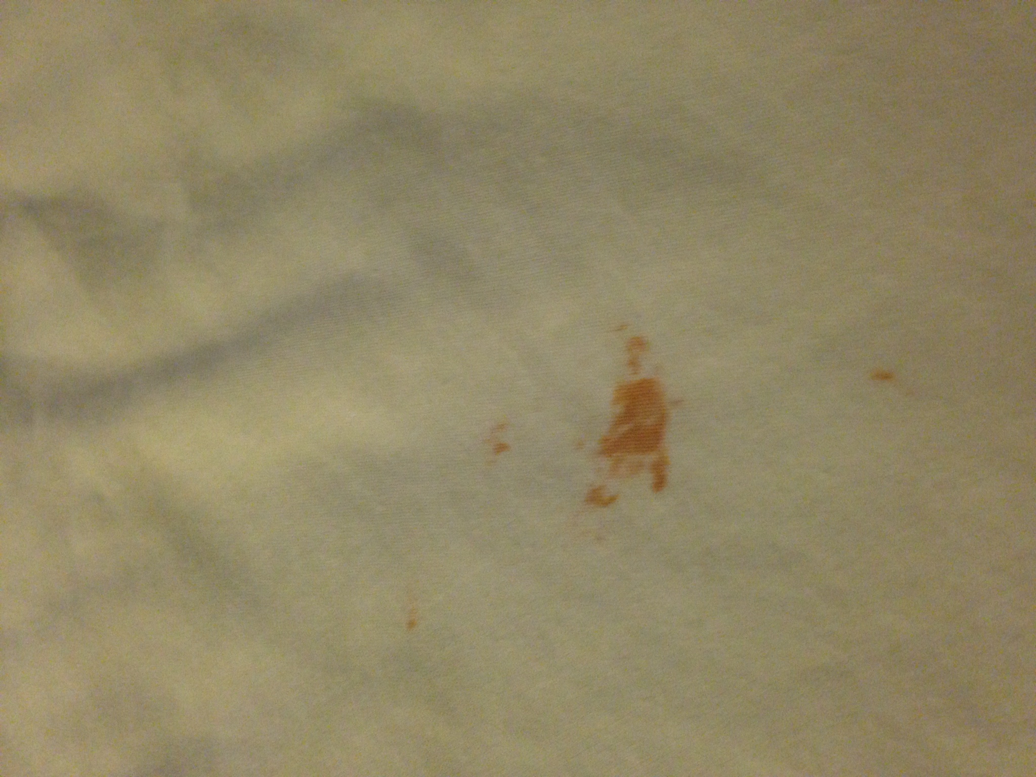 blood stained sheets