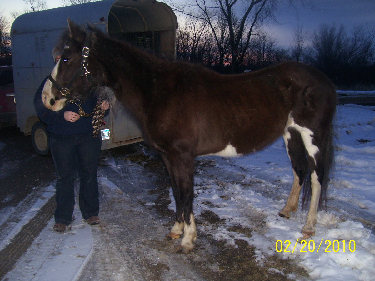 Lacie(Dam) skinny.she lost over 200# in their care.2-2010