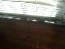 7/23/2014 lakes at north port mold in my apartment and has infected my $1800 bed set