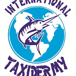 international taxidermy logo