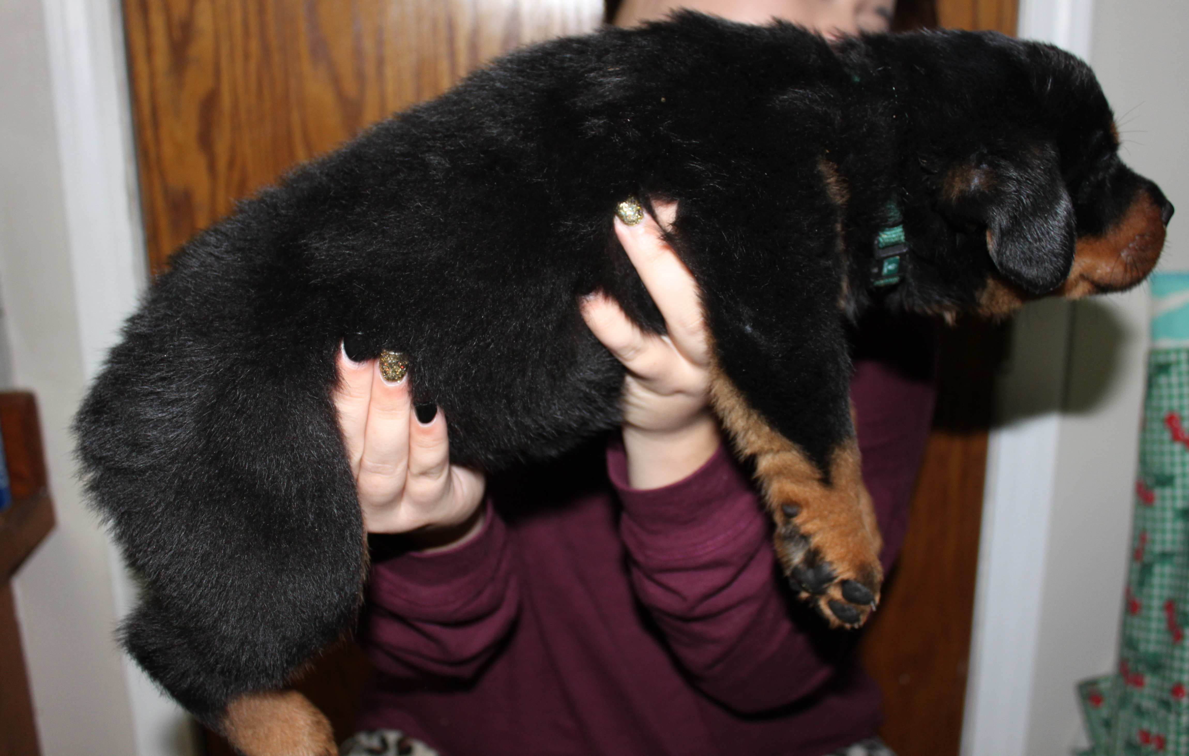 Green boy at 6 weeks and 2 days