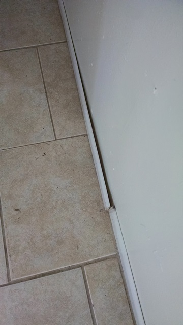 baseboard not attached