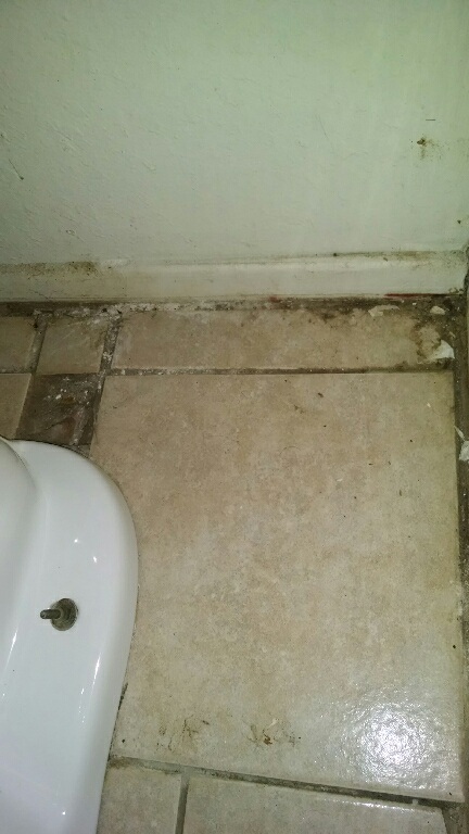 filth around toilet