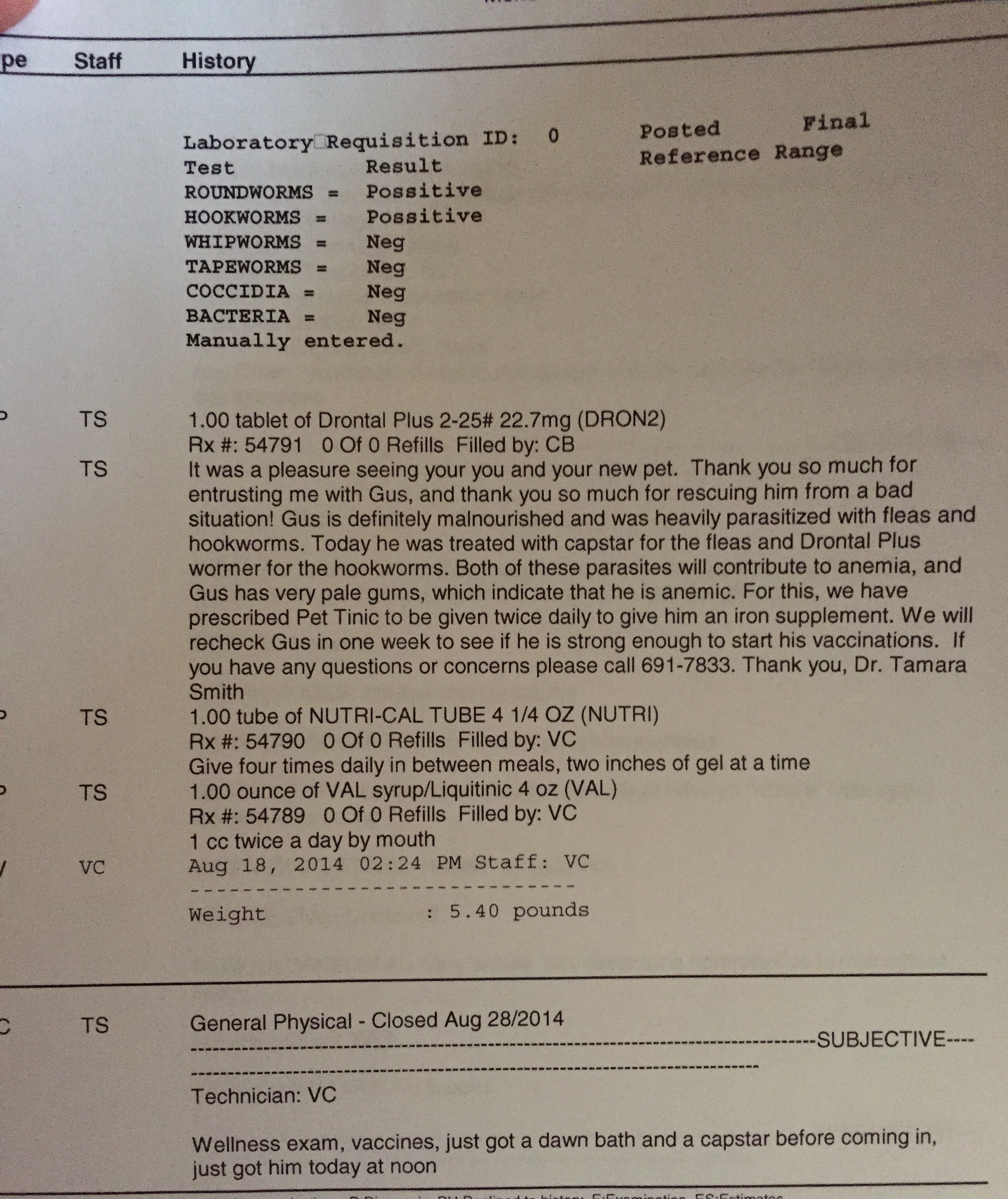 The vet report from our first of many visits. Notice his weight. At this age he should have been 12-25 lbs 