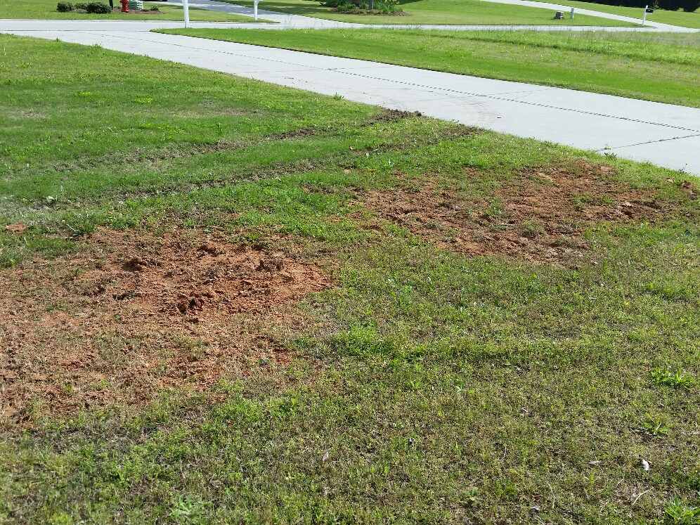 More yard and Driveway tracks left.