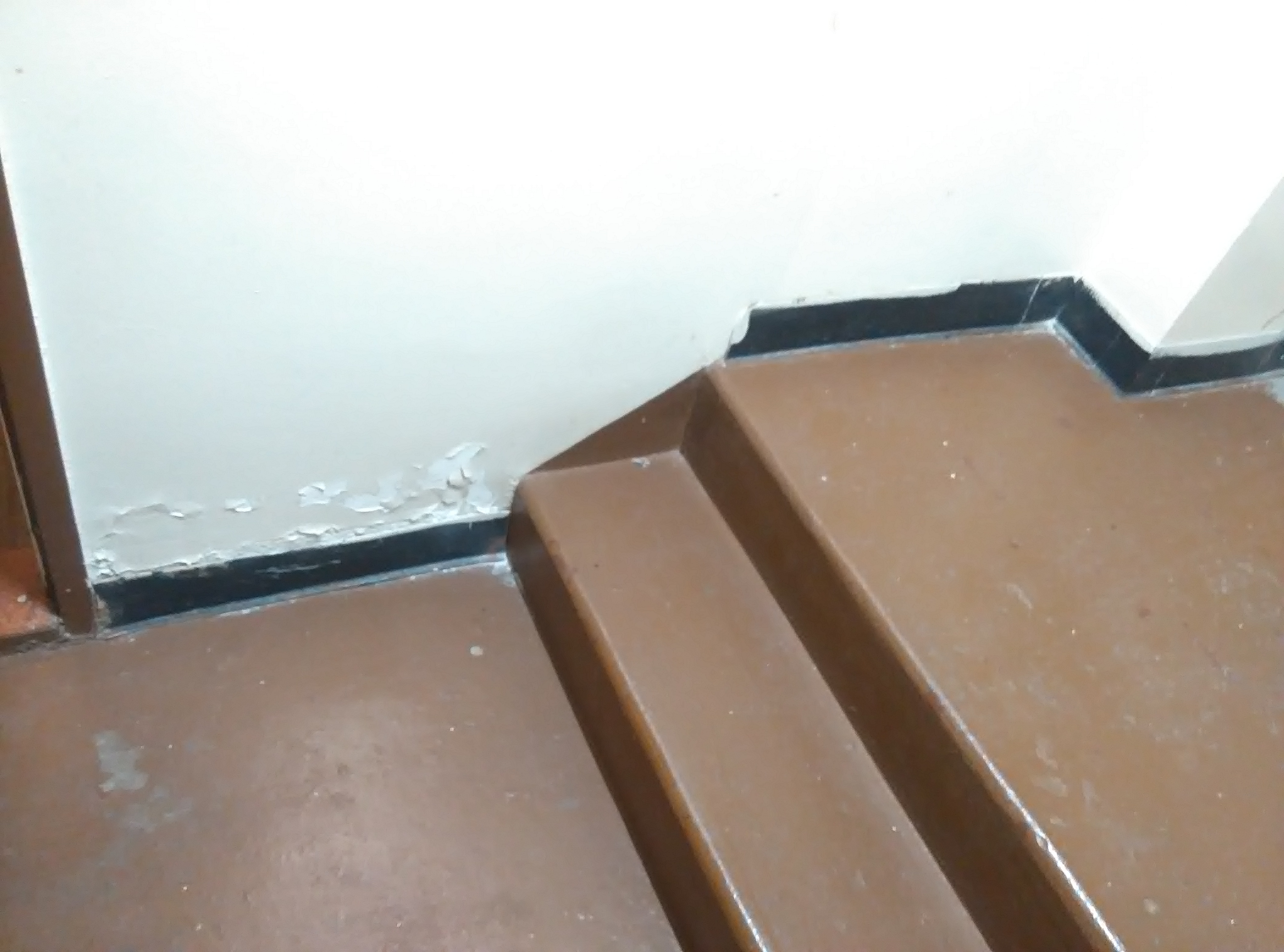 This is the stairwell. See the water damage? Pipes are always breaking and flooding apartments because Glenwood is too cheap to replace pipes. The building is 60 years old and the pipes have never bee