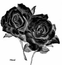 These black roses represent the pathetic, horrible service you will get from Bishops Flowers in Tupelo, MS