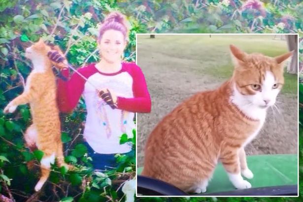 Kristen Holding Dying Tiger