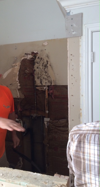 There is mold behind the "work" that was done. The insulation was wet and the cement board and drywall just pulled away since it was soaked. The plumbing was never done properly. 