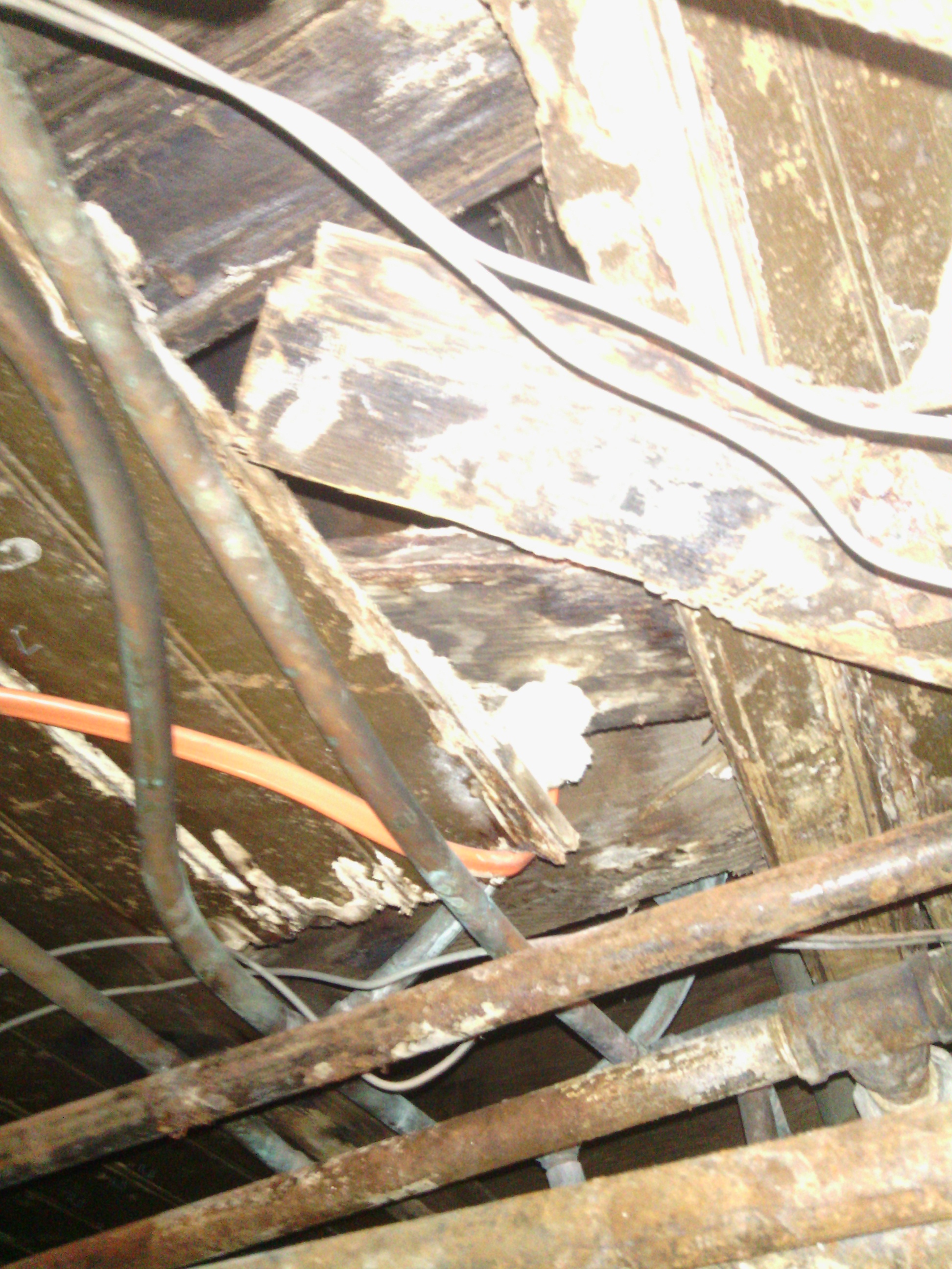 under the bathroom tub....the one tenants "are responsible for"