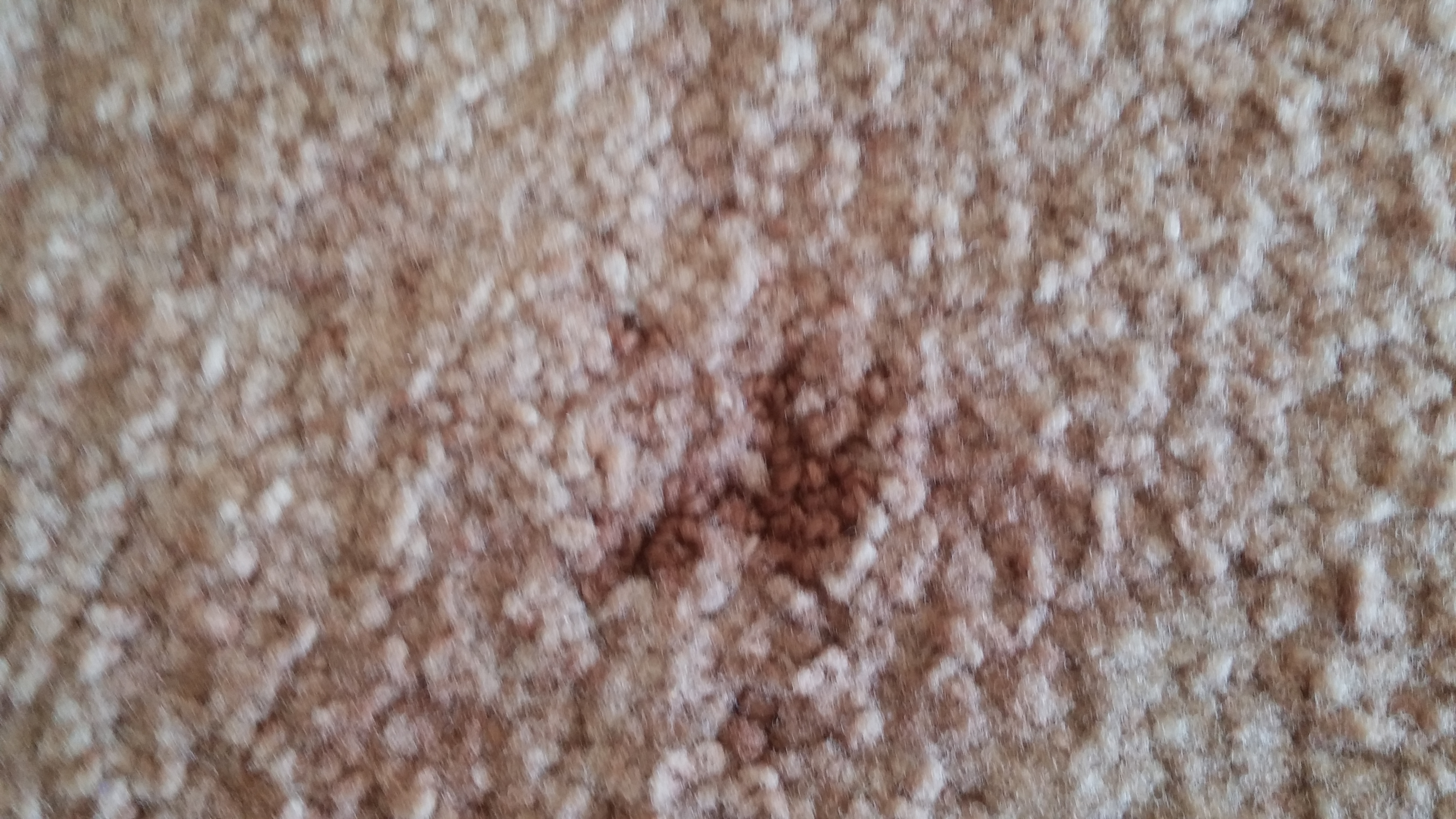 This is a big hole that ChemDRY created in my living room carpet