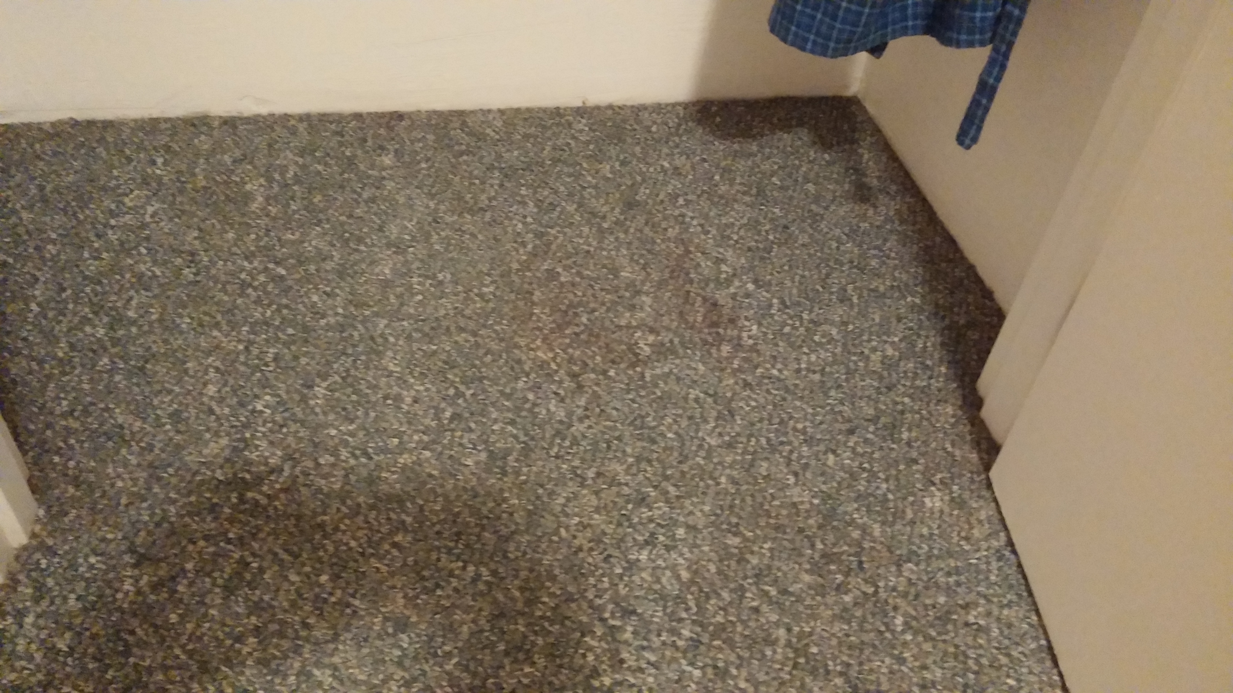 This is dirt left in the carpet after the second time Steve Celayeta came out.  He cursed me before coming out, professing that he makes more than $60/hr, and that I was taking away time from his busi
