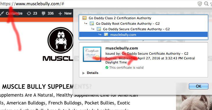 Proof about our website being secure using SSL