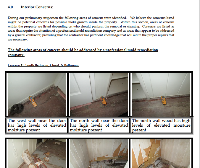 here is one of the pages of the mold report, taken from the rental house in Beverly Hills, where Lynne Paxton is the owner and landlord