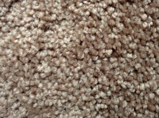 close up of carpet not walked on!