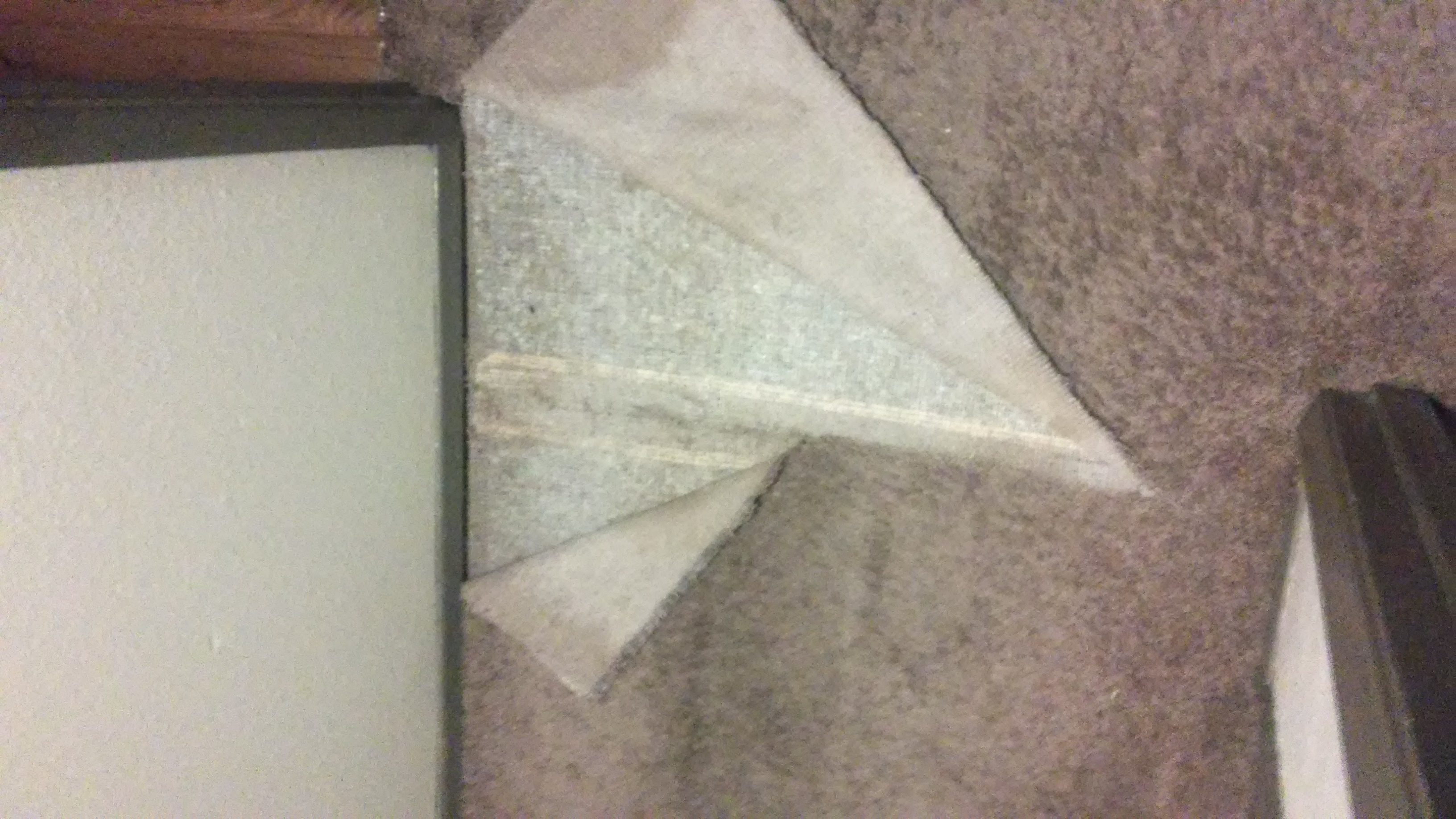 Carpet tear in hallway, untouched since move in, March 2015