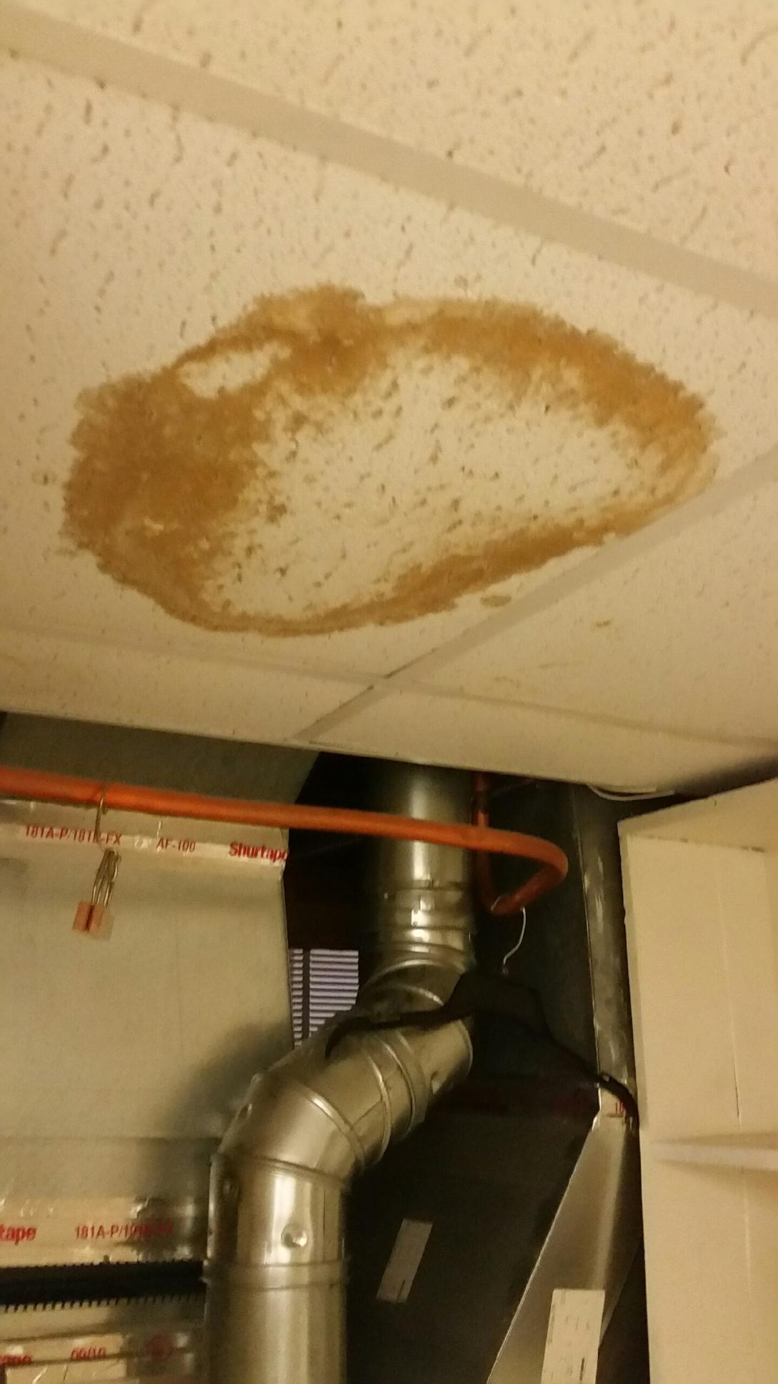 Water in ceiling. Addressed and never cared to take of 