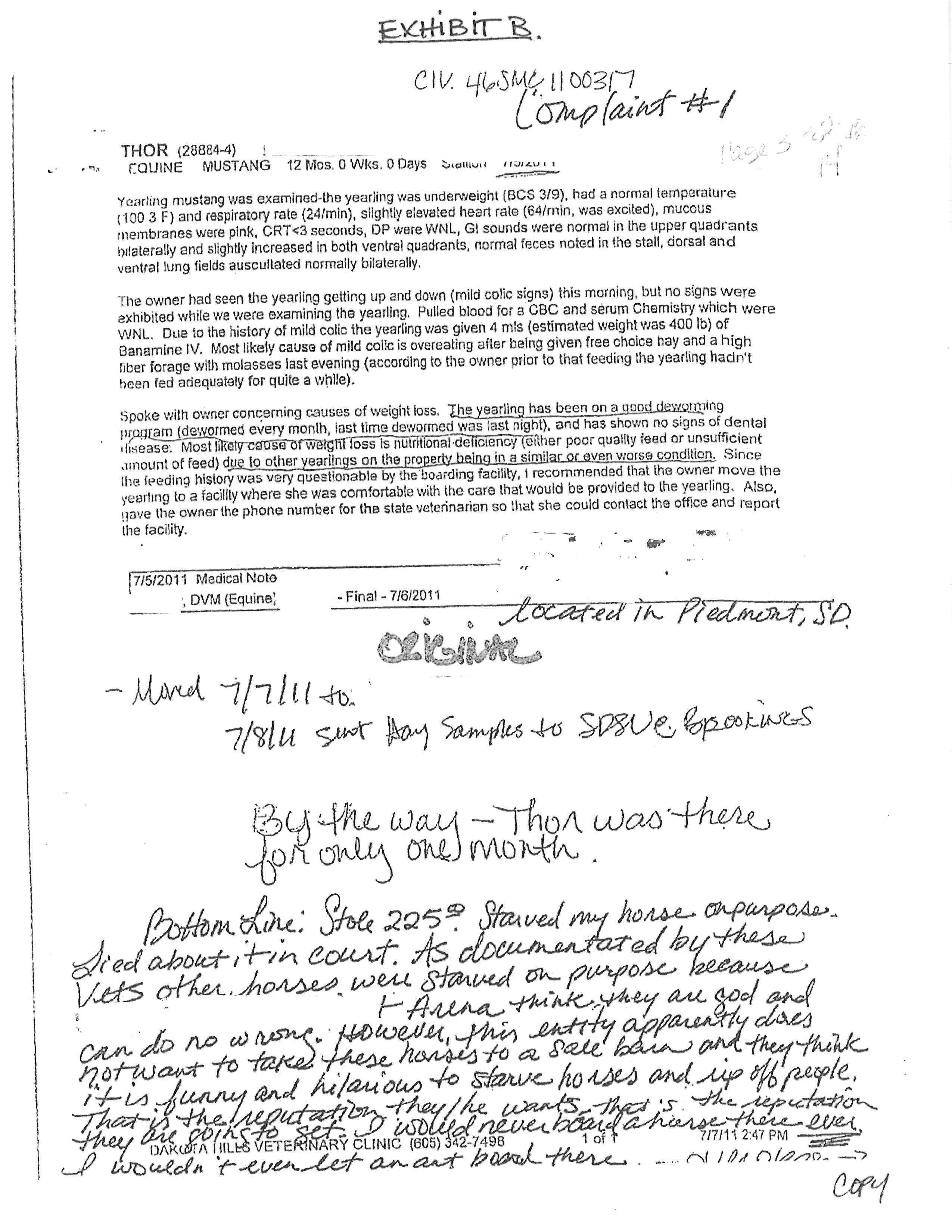 Exhibit B. shows the second page of vet documentation.