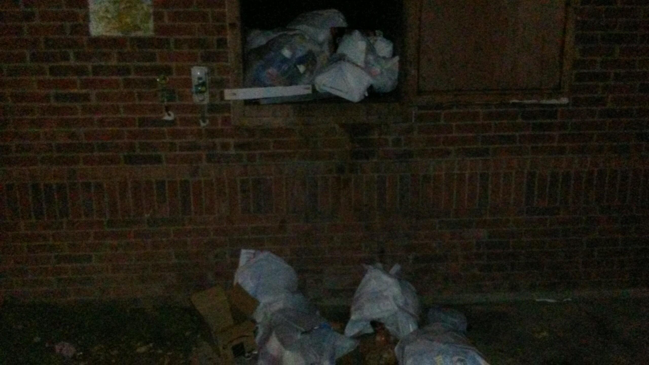 This is what tge TRASH DUMPSTER looks like EVERYDAY and theh will not CHANGE IT MONDAY since its the weekend.  