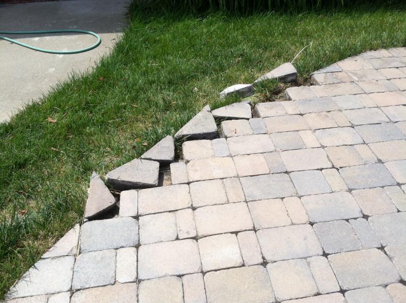 Did not use proper edges for pavers and they are falling off